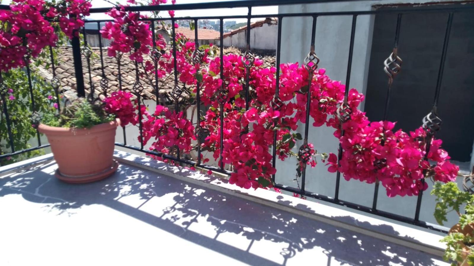 Casa Magnolia Boutique